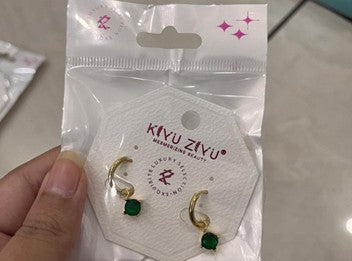 Earrings 45